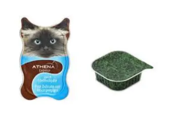 Гигиеническая машина для розлива мясной пасты для домашних животных для влажных кормов